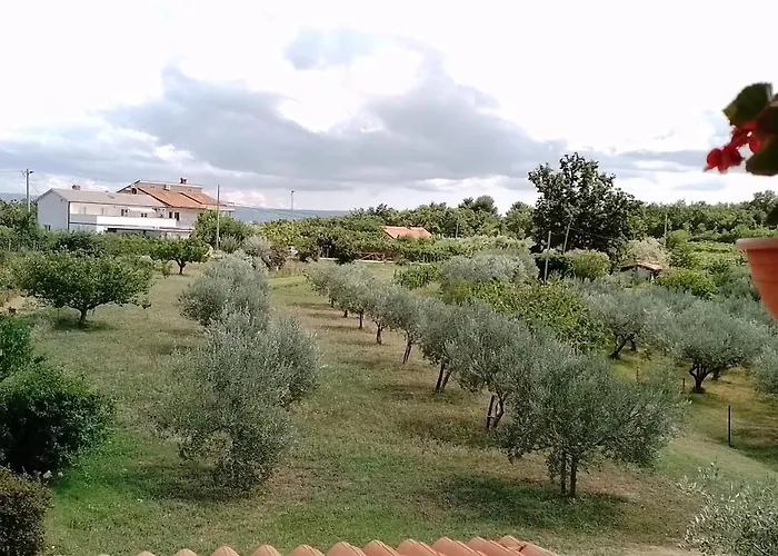 Apartma Barizoni