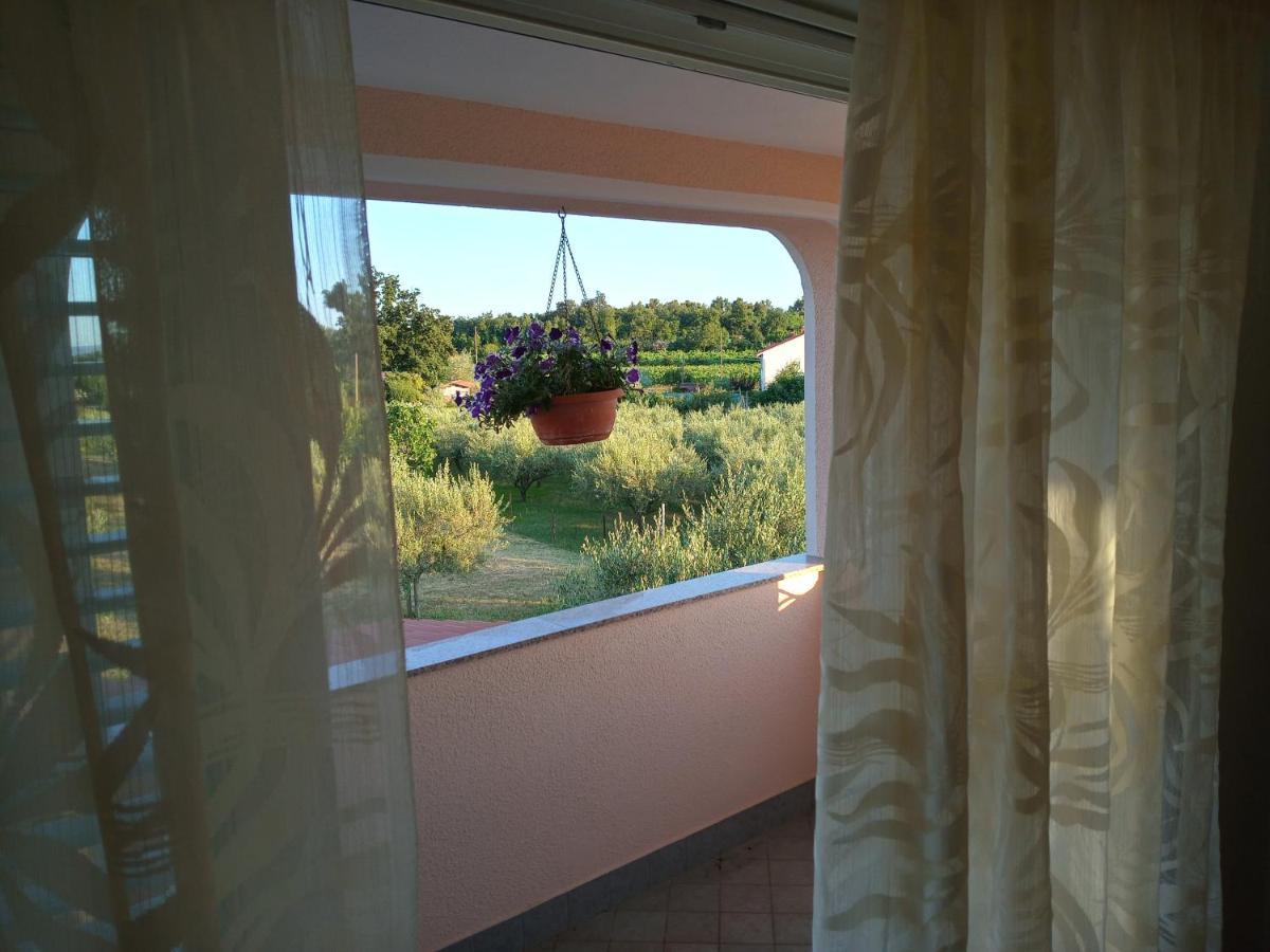 Apartment Apartma Barizoni Ankaran