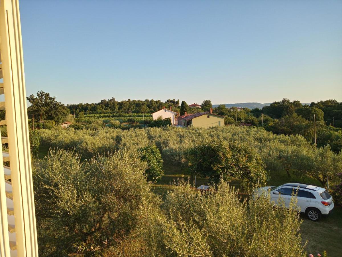 Apartment Apartma Barizoni