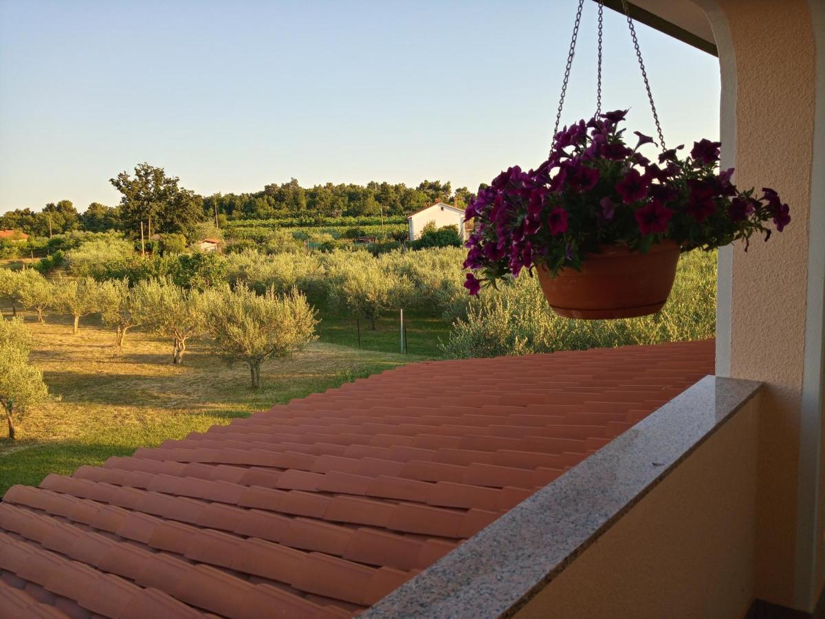 Apartma Barizoni *