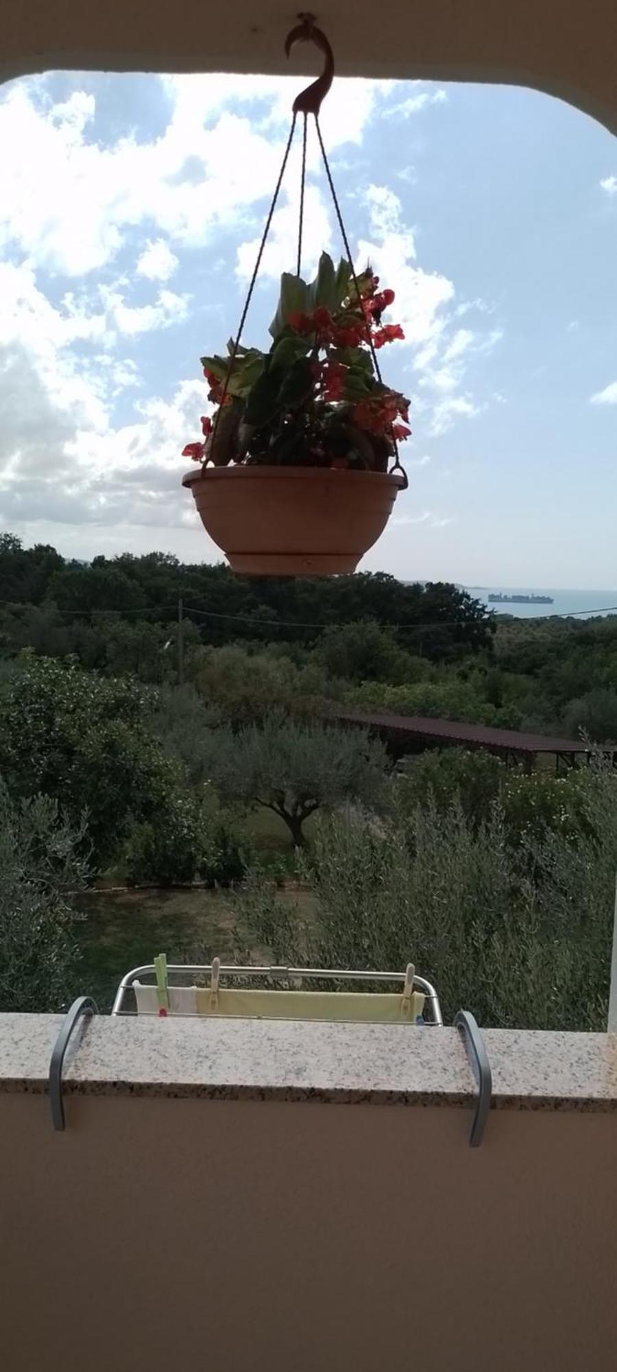 Apartma Barizoni *