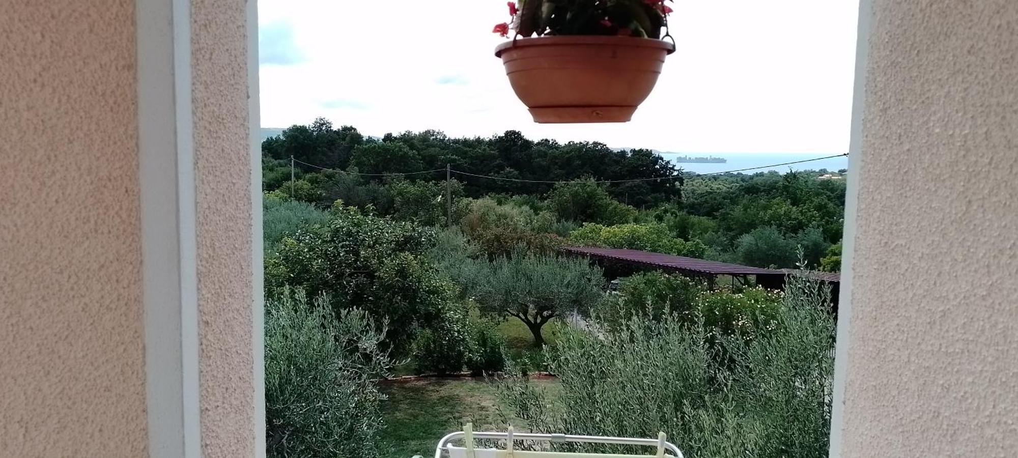 Apartma Barizoni *