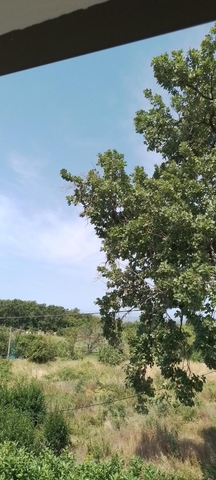 Apartma Barizoni Ankaran